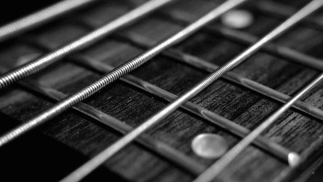 Rico McFarland Blues Band/Nora Jean Bruso Blues Band